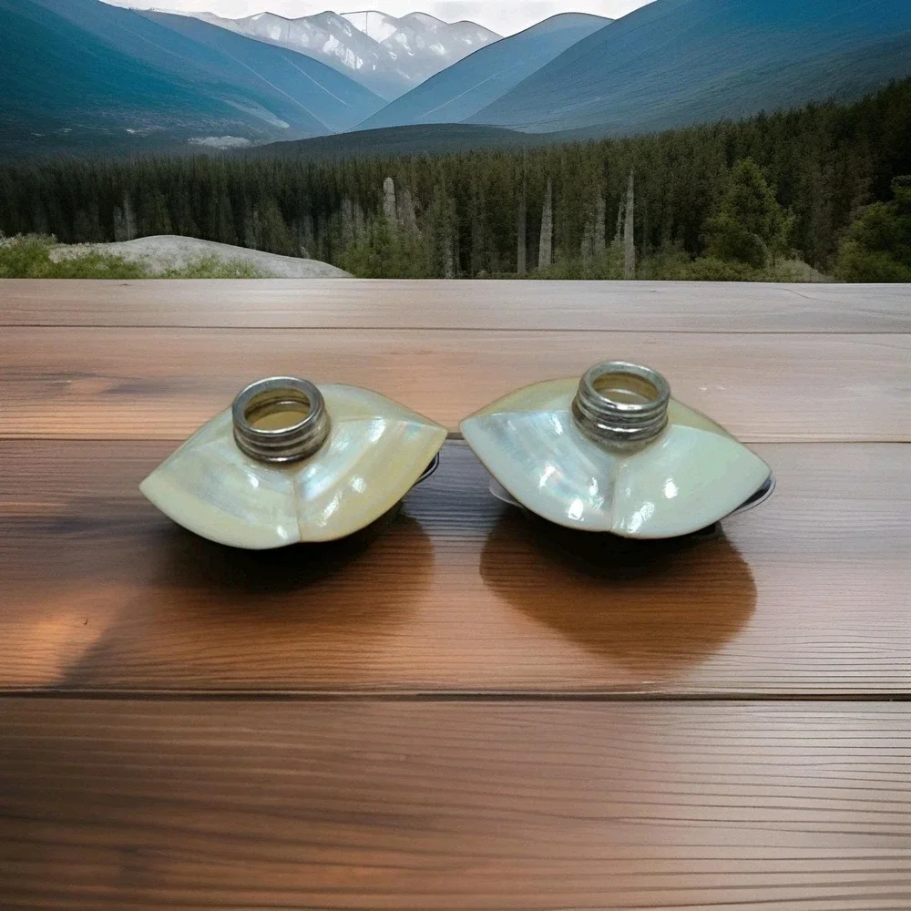 Beautiful Vintage Mother of‎ Pearl Shell Salt & Pepper Shakers OAK Handmade
